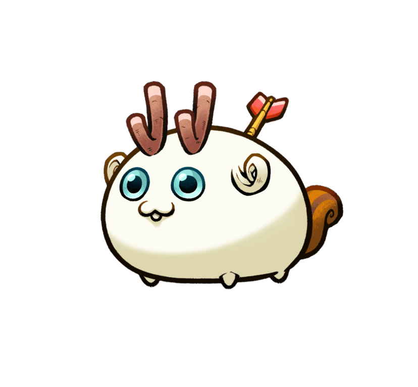 Axie Dojo